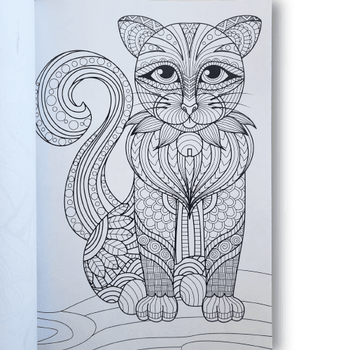carnet de coloriage — animaux & mandalas a4