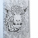 carnet de coloriage — animaux & mandalas a4